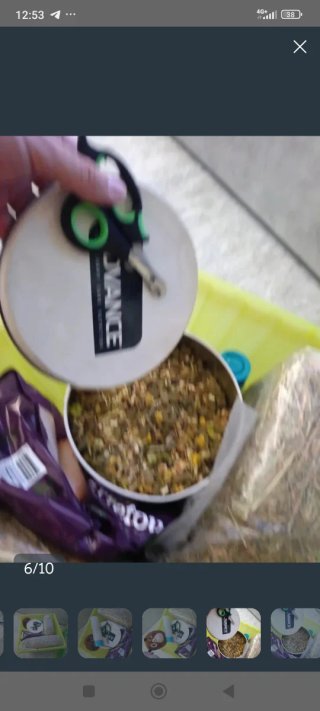 GANGA Jaula y accesorios para hámster cobaya conej