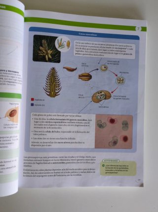 Libro biología. 1 bachillerato. Ed. Santillana