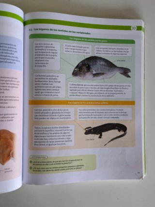 Libro biología. 1 bachillerato. Ed. Santillana