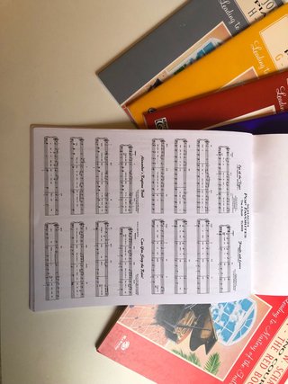 Libros Piano Schaum (9 Niveles)