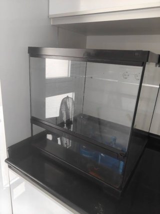 Terrario Exo Terra 45x45x45 cm