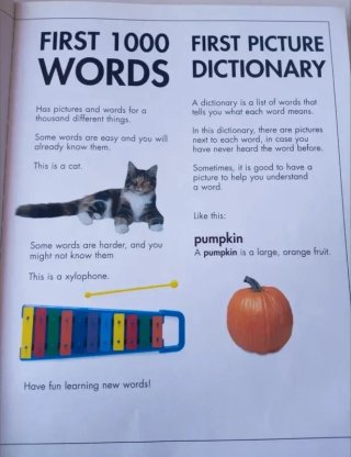 Libro inglés infantil 1000 palabras