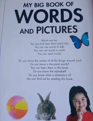 Libro inglés infantil 1000 palabras