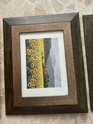 Juego de 6 cuadros decorativos