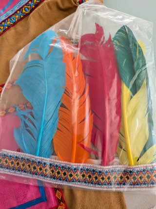 Disfraz India Talla 8-10 Sin Estrenar