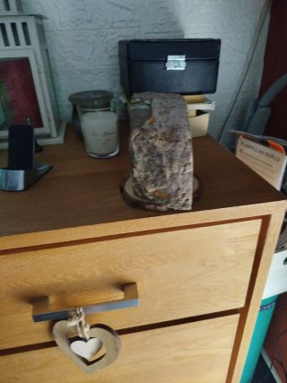 Geoda natural