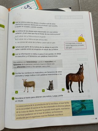 Lengua castellana y literatura 3º Primaria Baula