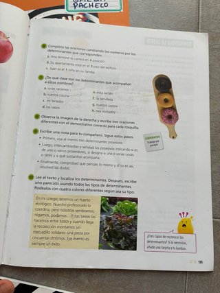 Lengua castellana y literatura 3º Primaria Baula