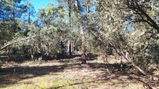 se vende parcela en siete fuentes marugan 2800m