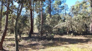se vende parcela en siete fuentes marugan 2800m