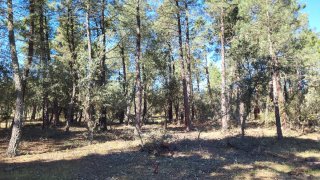 se vende parcela en siete fuentes marugan 2800m