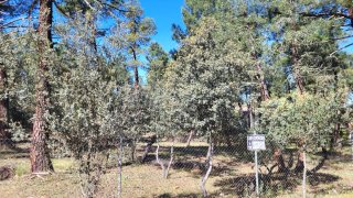 se vende parcela en siete fuentes marugan 2800m