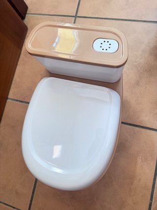 Orinal infantil WC