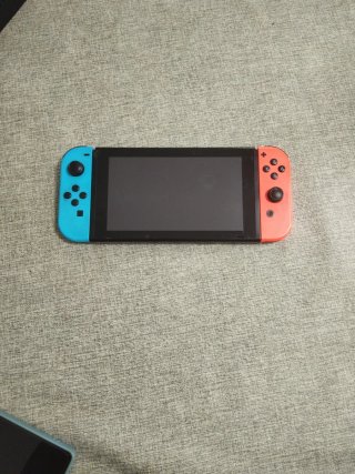 Nintendo Switch + funda + dos mandos