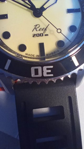 Reloj Amphibia Reef 200m Automático