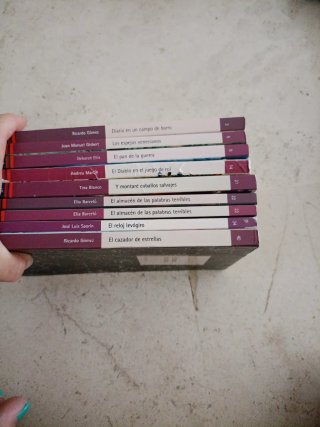 Colección de 9 Libros Juveniles en Español