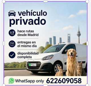 Transporte mascotas