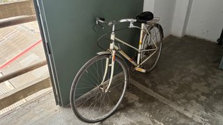 Bicicleta Paseo Torrot Clásica