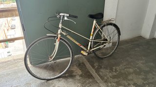 Bicicleta Paseo Torrot Clásica