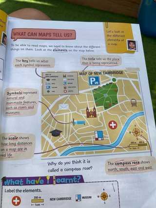 Cambridge Natural Science Level 3 Pupil's Book ...