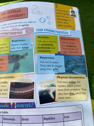 Cambridge Natural Science Level 3 Pupil's Book ...