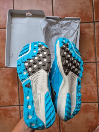 Nike Pegasus Trail Azul y Blanco