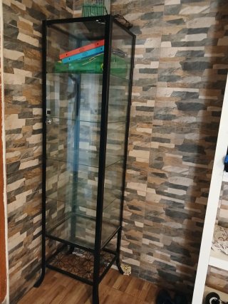 Vitrina de cristal y hierro negra
