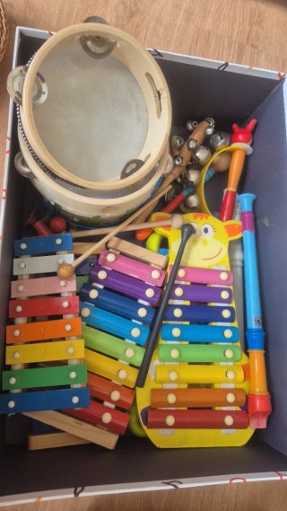 Lote instrumentos musicales infantiles