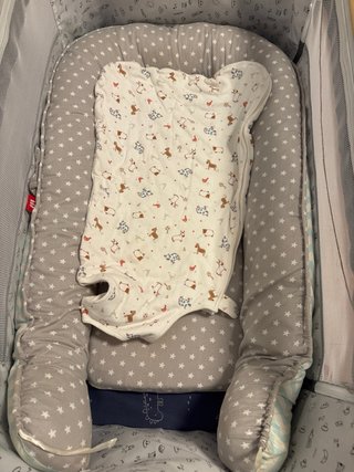 Cuna de bebé con ruedas
