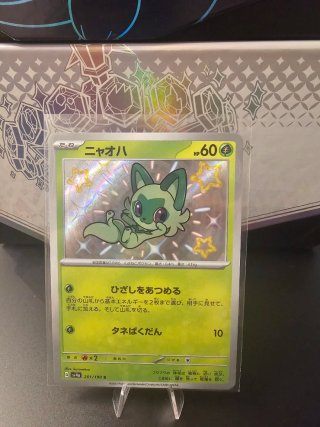 Lotto Carte Pokémon Shiny Giapponesi (SV4a)