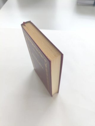 Historia Libro VII, Polimnia