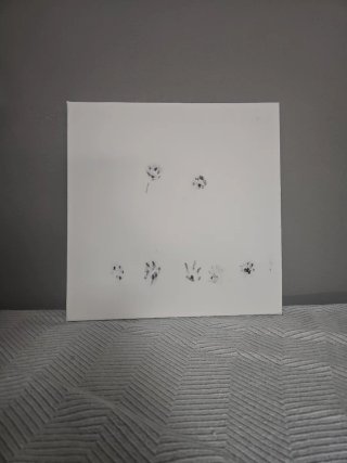 Cuadro Decorativo Huellas Animales