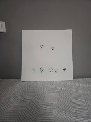 Cuadro Decorativo Huellas Animales