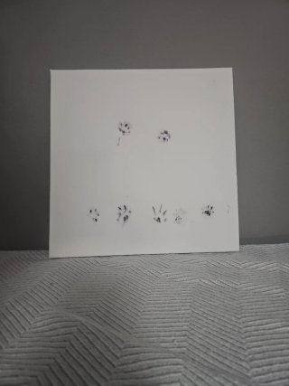 Cuadro Decorativo Huellas Animales