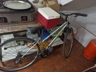 Bicicleta de montaña plateada
