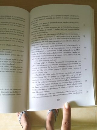 Felix y Sofía libro lectura
