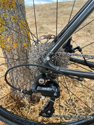 Trek Domane AL 3 Talla 56