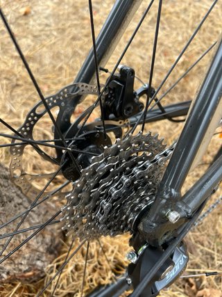 Trek Domane AL 3 Talla 56