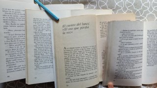 Lote 5 libros El barco de vapor.A partir 9años
