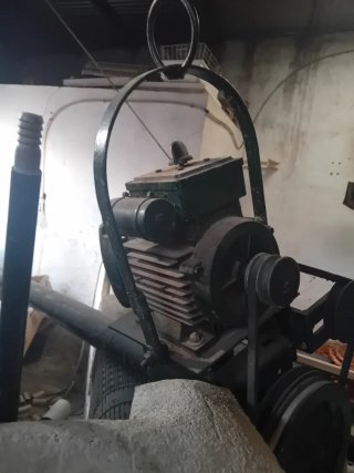 Sin fin para hueso de aceituna de 3 metros
