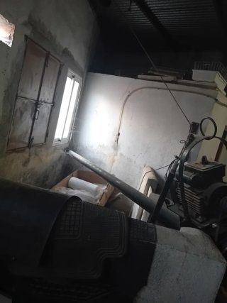 Sin fin para hueso de aceituna de 3 metros
