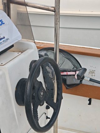 Motor fueraborda Evinrude 60 CV 2T