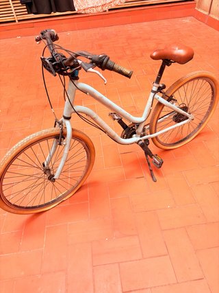 Bicicleta vintante berg park 20