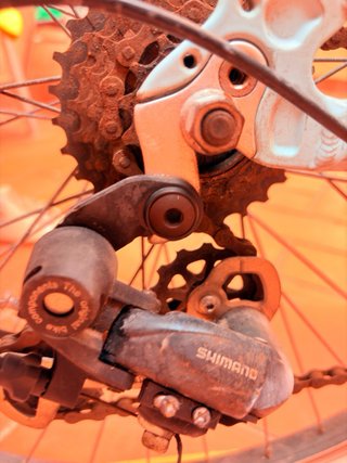 Bicicleta vintante berg park 20