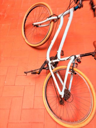 Bicicleta vintante berg park 20