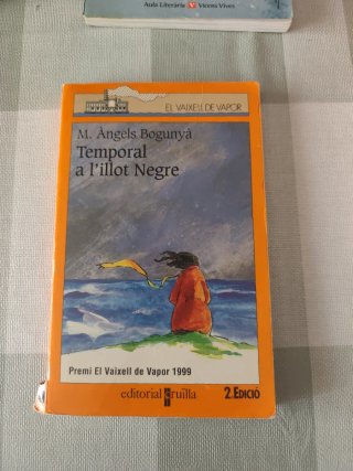Temporal a l'illot Negre