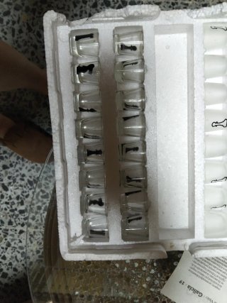 Juego de ajedrez de cristal