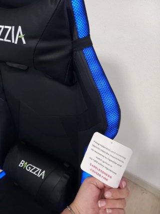 Silla Gaming BAGZZIA RGB