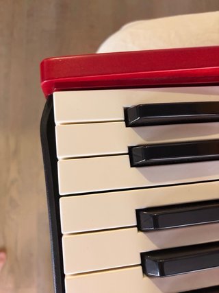 Nord Electro 6D Teclado Casi Nuevo