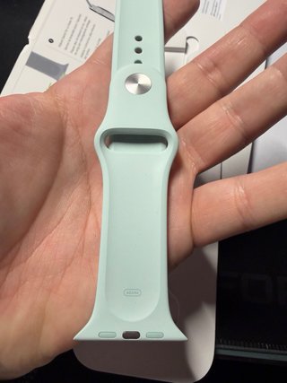 Correa Apple Watch color menta